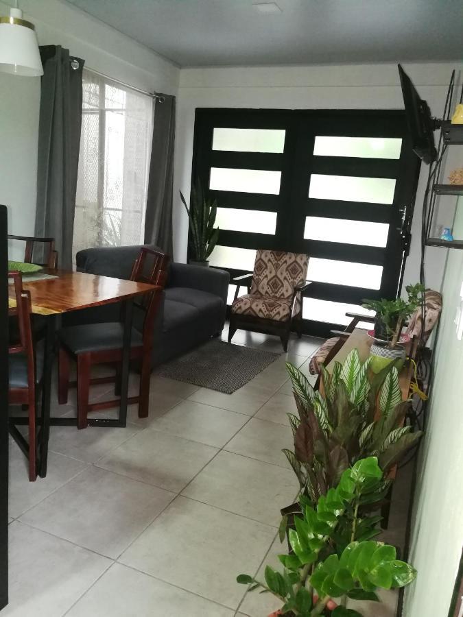 Tamandua -Home Feeling- La Fortuna Luaran gambar